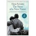 The Story of a New Name: Neapolitan Novels, Book Two online